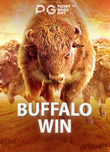 เว็บพนันออนไลน์ที่น่าเชื่อถือ ทดลองเล่นง่ายๆ